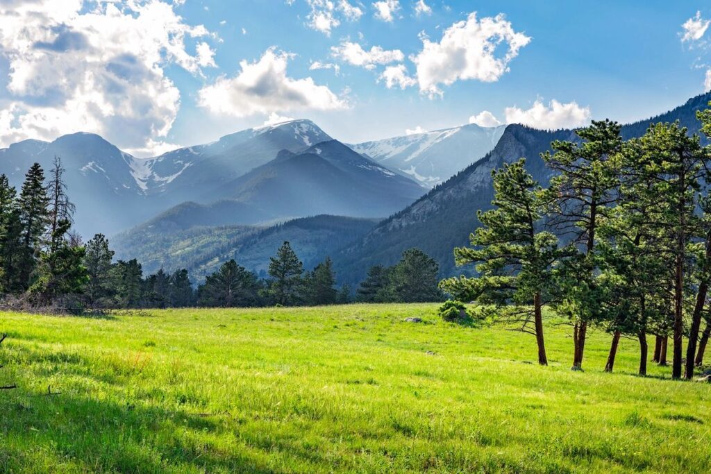 Montana Mountains