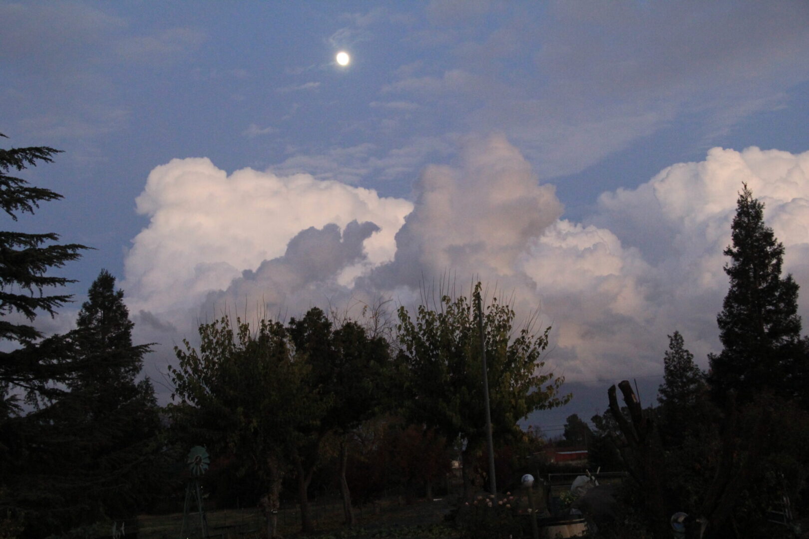 Close view of moon, clouds and trees